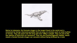 Quiz & Learn: Animals (PS4) &nbsp; &copy; Kuims 2025 &nbsp;  3/6