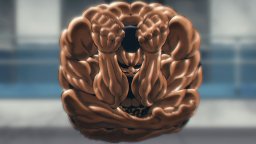 Baki Hanma: Blood Arena (NS)   © Pix'n Love 2025    3/4