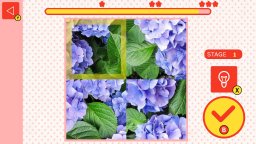 Flower Spinner Puzzle (NS)   © Mask 2025    1/4