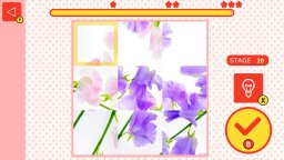 Flower Spinner Puzzle (NS)   © Mask 2025    2/4