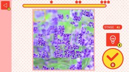 Flower Spinner Puzzle (NS)   © Mask 2025    3/4