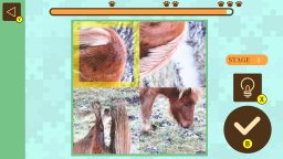 Brain Workout! Spinning Animal Puzzle (NS)   © TT 2025    2/4