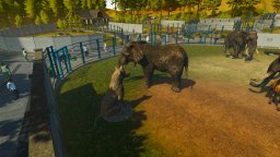Zoo Manager Simulator (PS4) &nbsp; &copy; Play Games 2025 &nbsp;  6/6