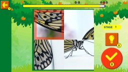 Brain Workout! Spinning Insect Puzzle (NS) &nbsp; &copy; Mask 2025 &nbsp;  1/4