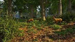 Park Ranger Simulator (PS5) &nbsp; &copy; Aerosoft 2026 &nbsp;  4/6