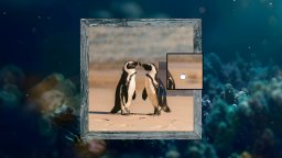 Shattered Frames 2: Under The Sea (PS5) &nbsp; &copy; Orca Games 2026 &nbsp;  1/6