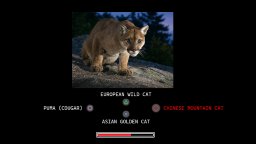 Which Is It? (PS4) &nbsp; &copy; Kuims 2026 &nbsp;  2/6