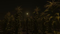 Cornfield (NS) &nbsp; &copy; Upscale 2026 &nbsp;  2/5