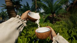 Bootstrap Island (PS5) &nbsp; &copy; Maru VR 2026 &nbsp;  1/6